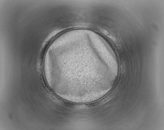 X0000115731454200912031356