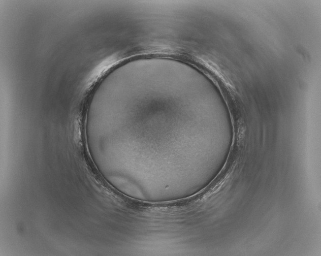 X0000115731455200912031356