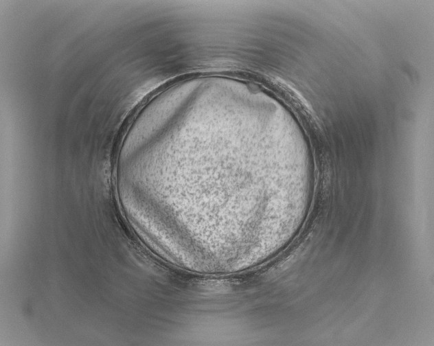 X0000115731457200912031356