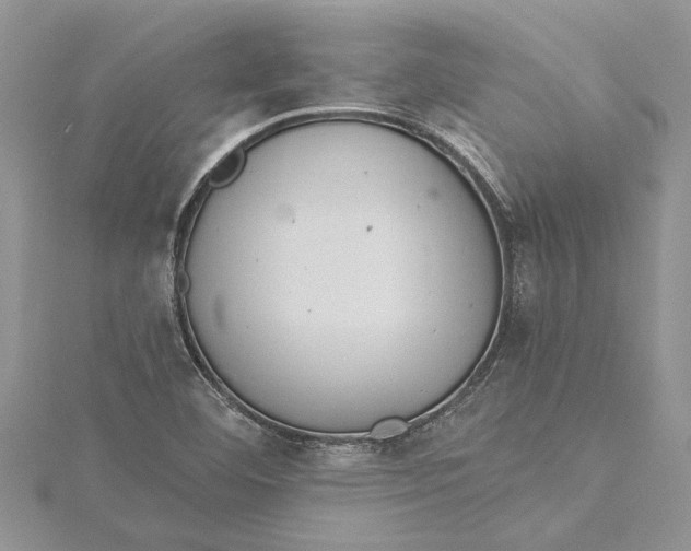 X0000115731460200912031355