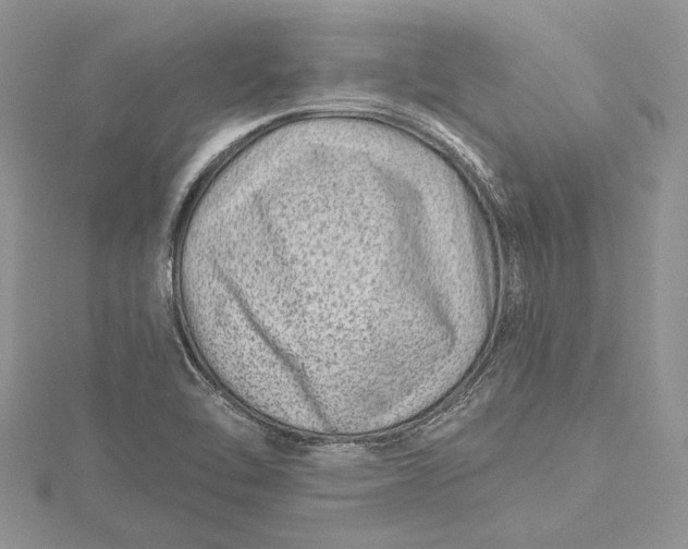 X0000115731462200912031355