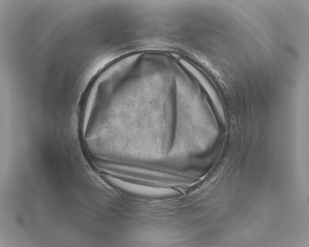 X0000115731463200912031355