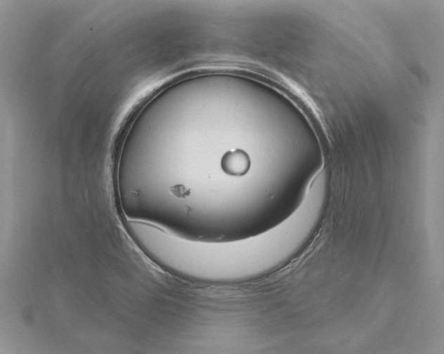 X0000115731464200912031355