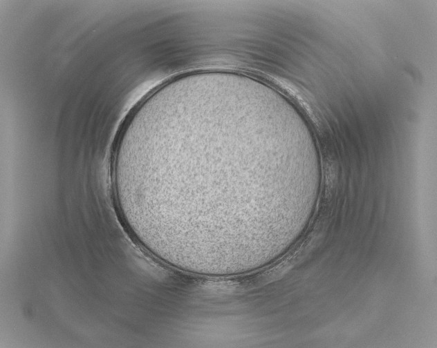 X0000115731466200912031355