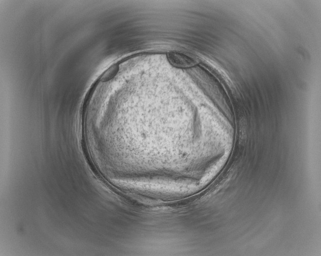 X0000115731467200912031355