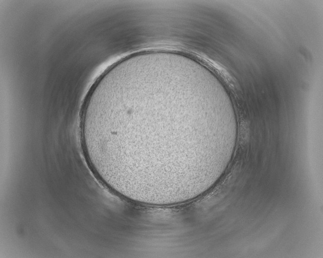 X0000115731470200912031355