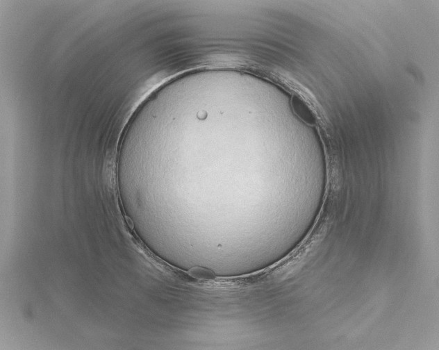 X0000115731473200912031355