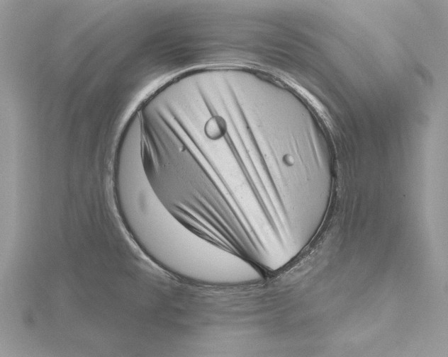 X0000115731477200912031355