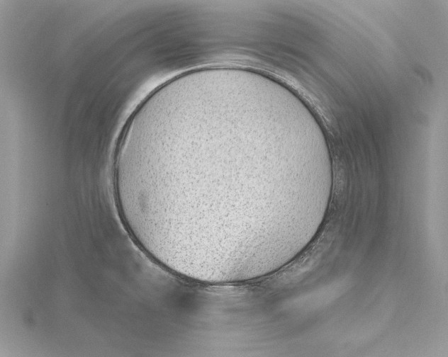 X0000115731478200912031355