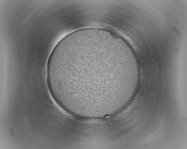 X0000115731479200912031355