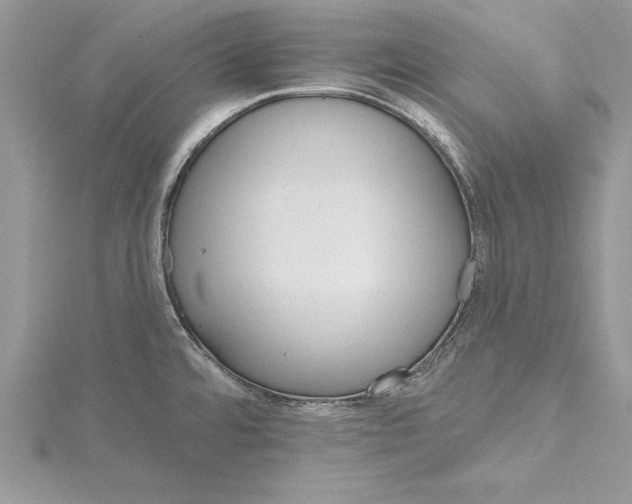 X0000115731480200912031355