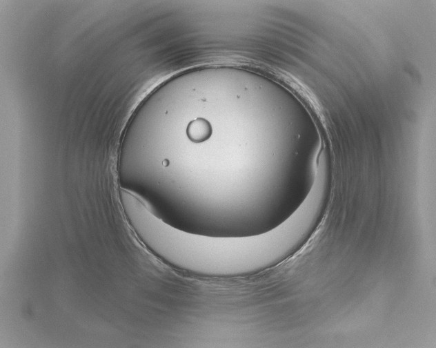 X0000115731481200912031355