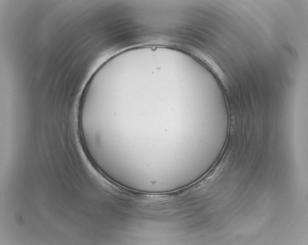 X0000115731483200912031355