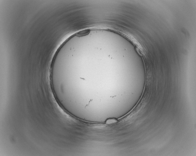 X0000115731484200912031355