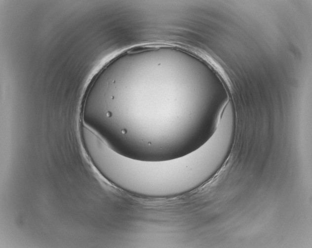 X0000115731485200912031355