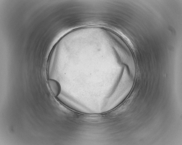 X0000115731486200912031355