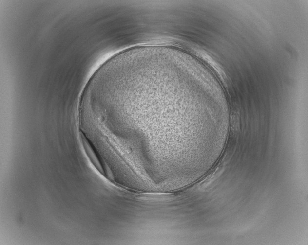 X0000115731487200912031355