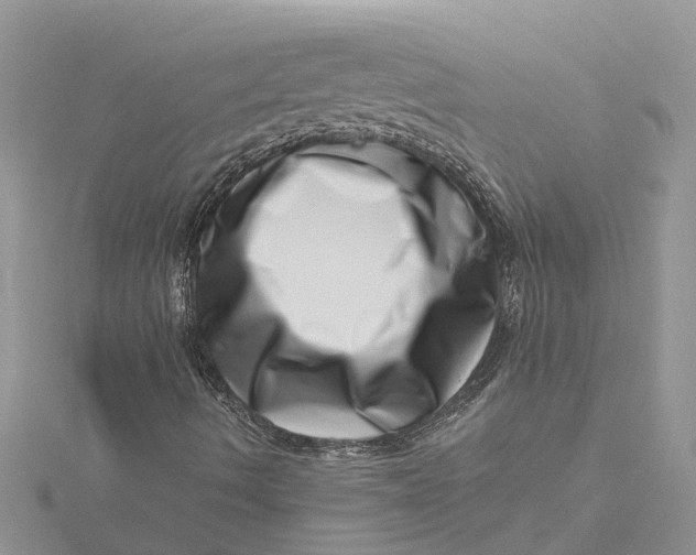 X0000115731490200912031355