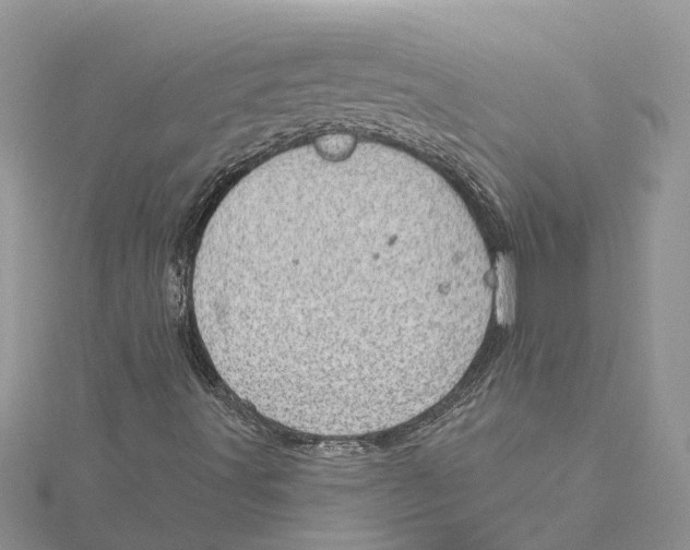 X0000115731491200912031355