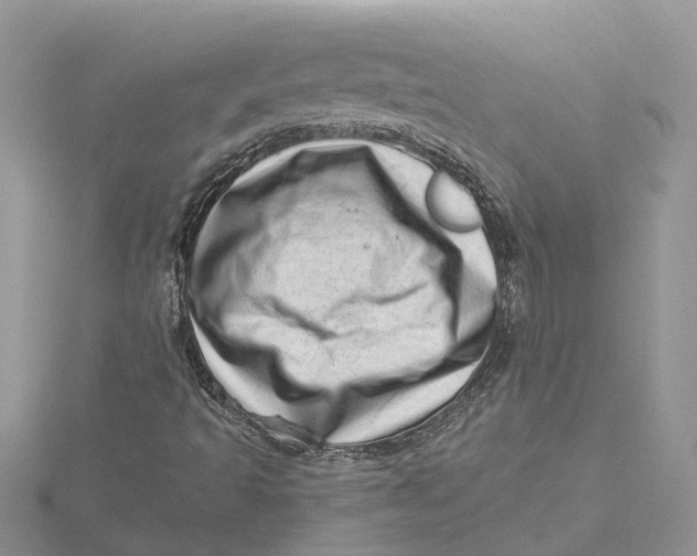 X0000115731493200912031355