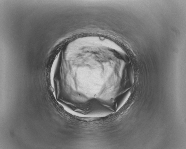 X0000115731494200912031355