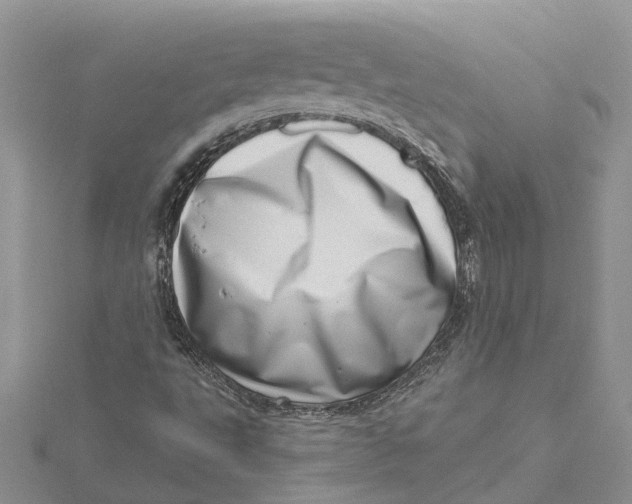 X0000115731495200912031355