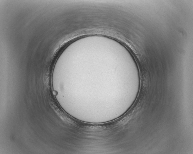 X0000115731499200912031355