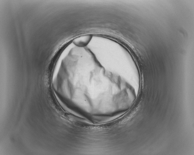 X0000115731501200912031355