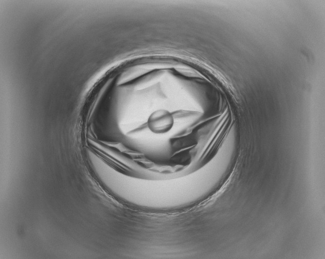 X0000115731502200912031355