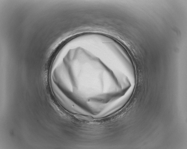 X0000115731503200912031355