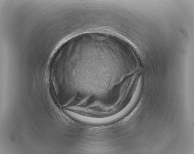 X0000115731506200912031355