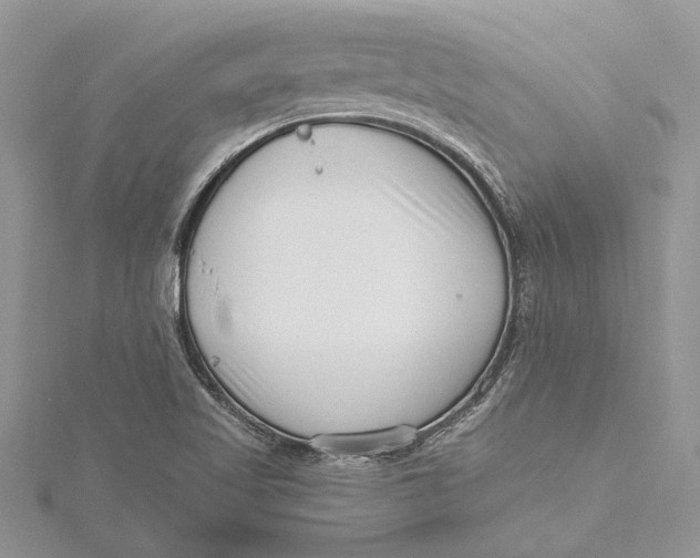 X0000115731509200912031355