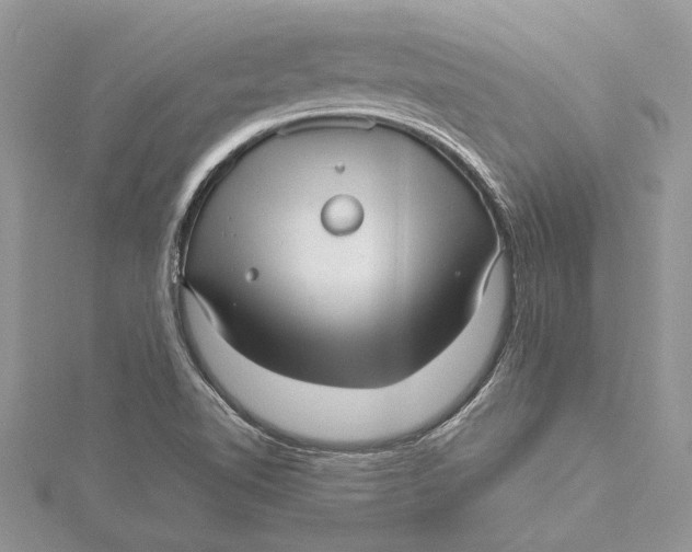 X0000115731510200912031355