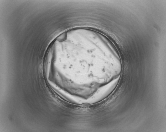 X0000115731513200912031355