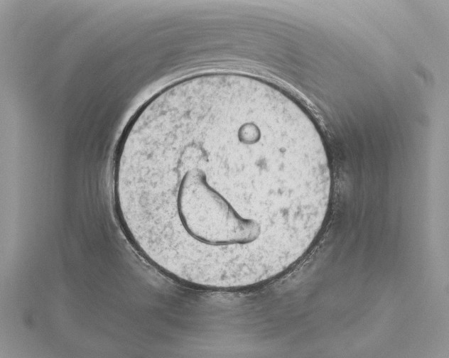 X0000115731514200912031355