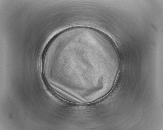 X0000115731515200912031355