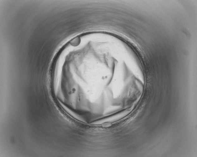 X0000115731517200912031355