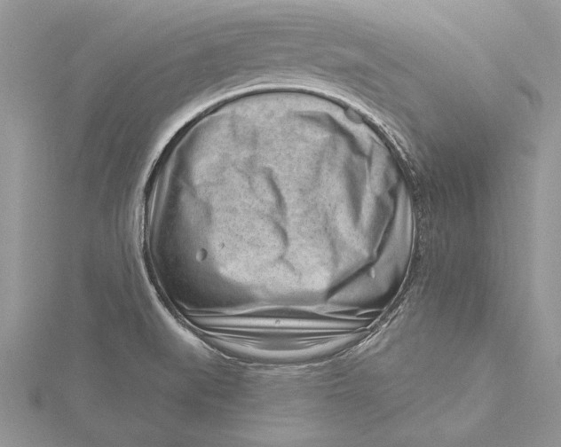 X0000115731519200912031355