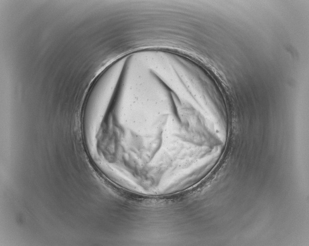 X0000115731521200912031355