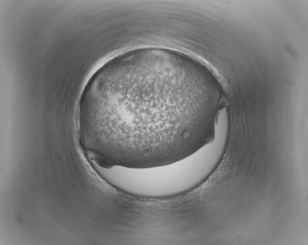 X0000115731522200912031355