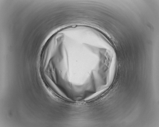 X0000115731523200912031355