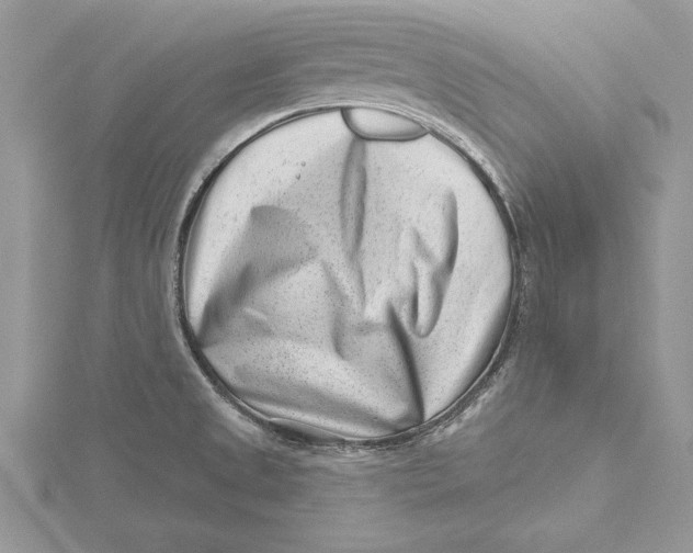 X0000115731525200912031355