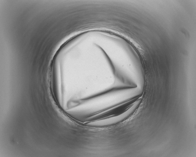 X0000115731526200912031355