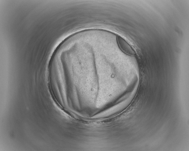 X0000115731527200912031355