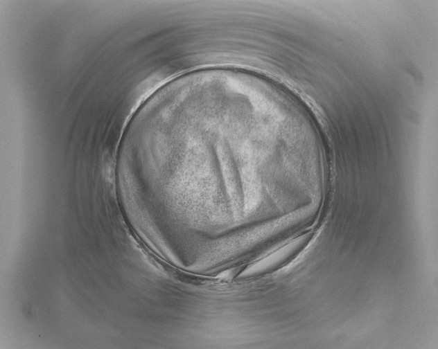 X0000115731529200912031355