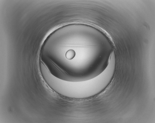 X0000115731530200912031355