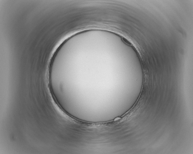 X0000115731531200912031355