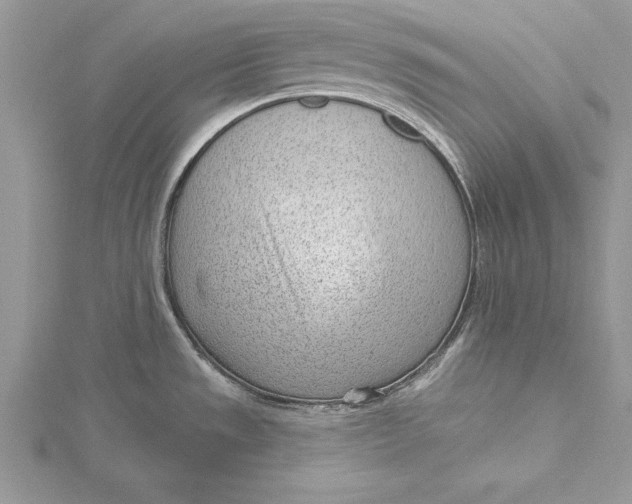 X0000115731533200912031355