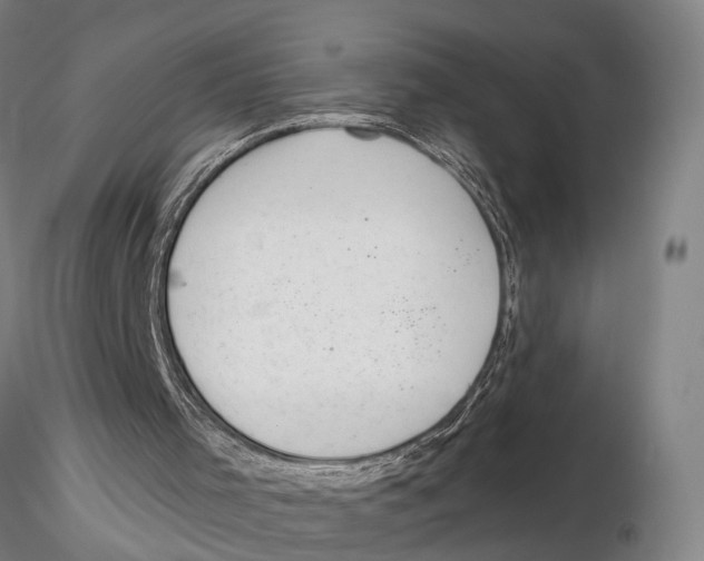 X0000115730001200912101503