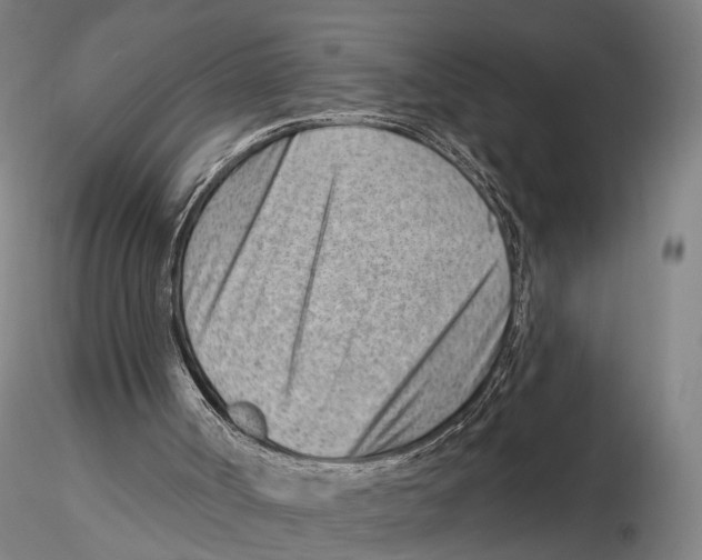 X0000115730002200912101503